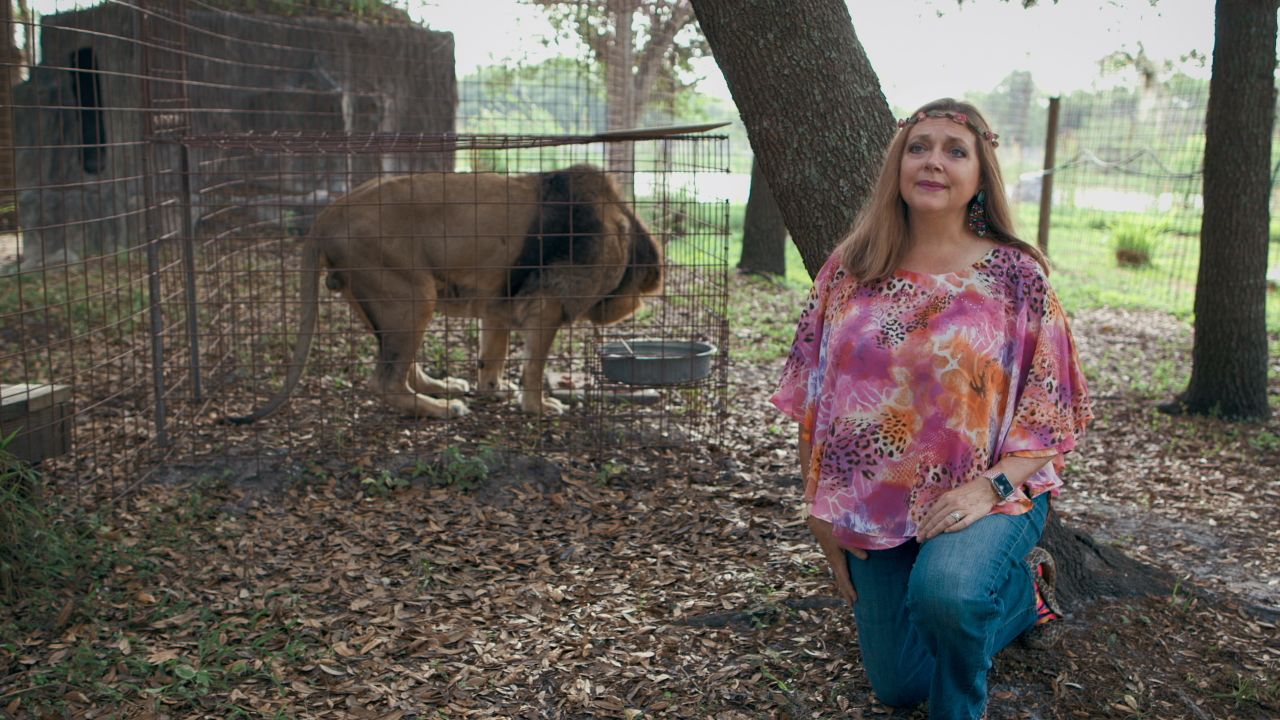 Carole Baskin, of Florida's Big Cat Rescue, is one of the big cat enthusiasts made famous by "Tiger King." 