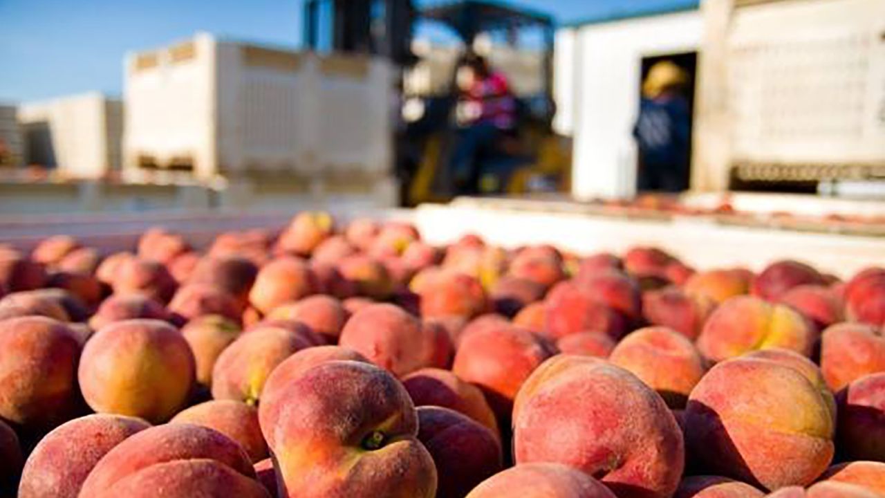 Peach farmers, among others, are concerned. 