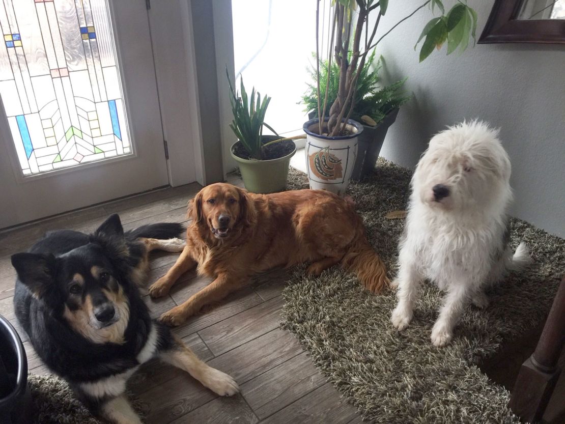 Sundace with his siblings, Margo and Murphy Rae.