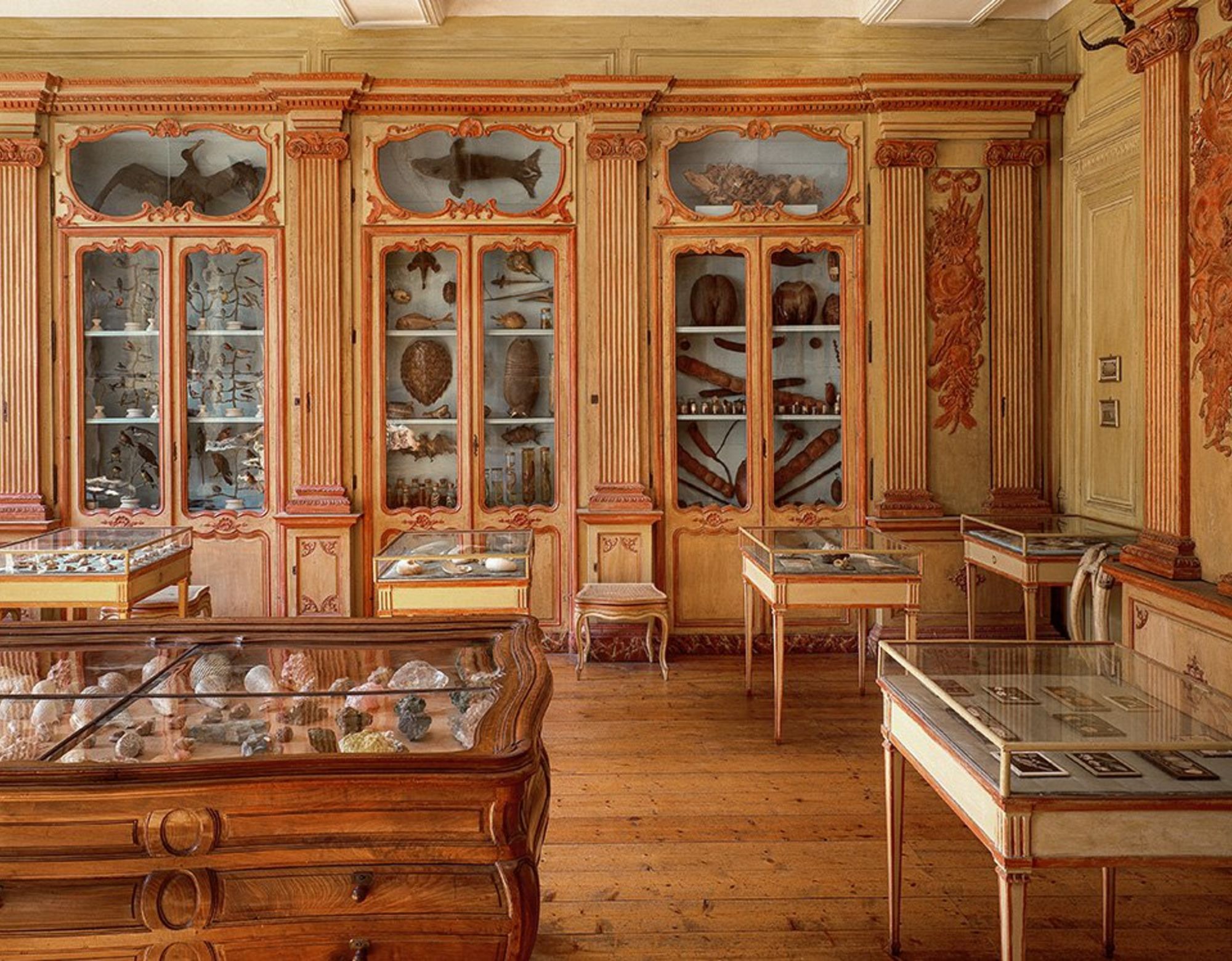 13 cabinet of curiosities