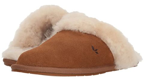 slippersKoolaburra Milo Ugg