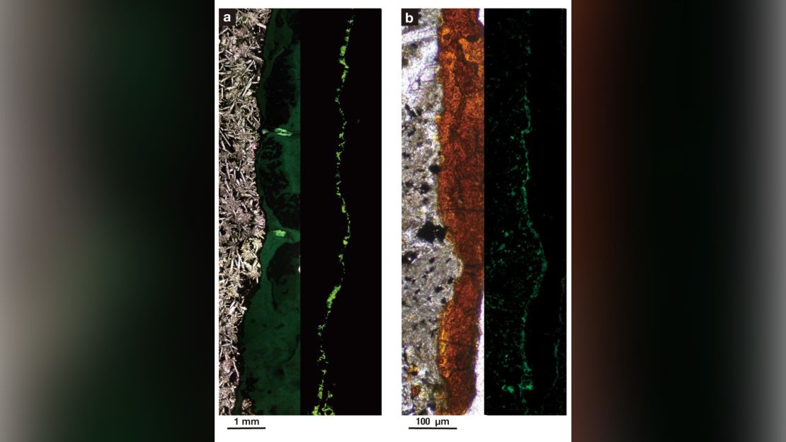 Bacteria live densely packed into tunnels of clay minerals found in this sample of solid rock.