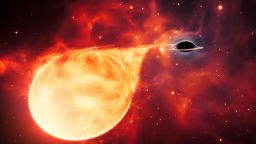 This artist's impression depicts a star being torn apart by an intermediate-mass black hole (IMBH), surrounded by an accretion disc. This thin, rotating disc of material consists of the leftovers of a star which was ripped apart by the tidal forces of the black hole.