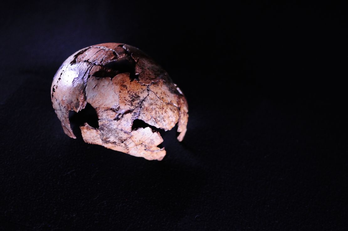 This Homo erectus skullcap is the oldest ever discovered.