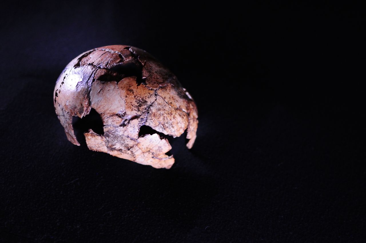 <strong>Ancient skull: </strong>A Homo erectus skullcap found northwest of Johannesburg has been identified as the oldest to date. The hominin, a direct ancestor of modern humans, moved out of Africa into other continents. 
