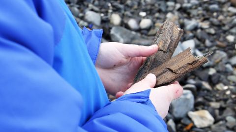 A boy displays pieces of wood he took as souvenirs from a shipwrecked sloop at Short Sands Beach on March 6, 2018.
