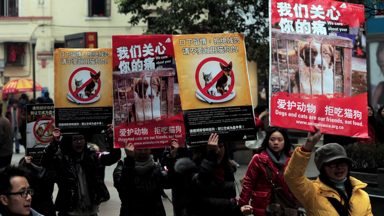 Chinese animal rights activists stage a protest calling for people to refrain from eating cats and dogs.