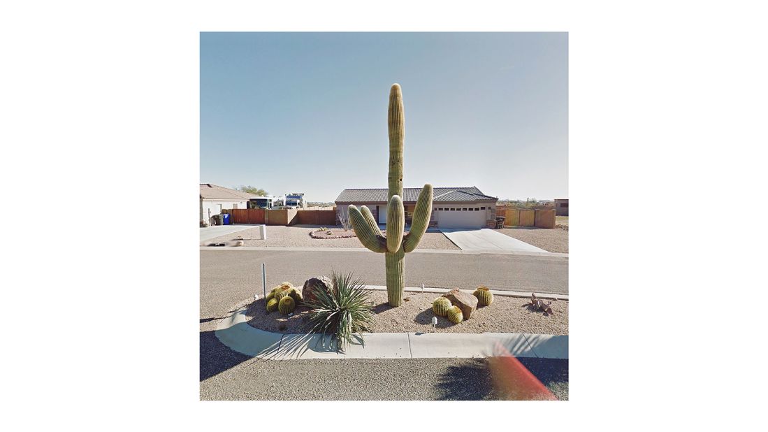 <strong>Cactus in Mesa, Arizona, United States: </strong>Under the pseudonym "The Agoraphobic Traveller" Kenny has been chronicling her experiences virtually traveling  the world from her own home for the past four years.