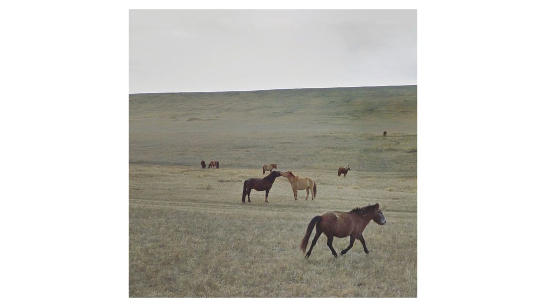 <strong>Kissing Horses, Mongolia:</strong> Kenny suffers from agoraphobia -- an anxiety condition that makes going outside, let alone traveling the world, very tricky.
