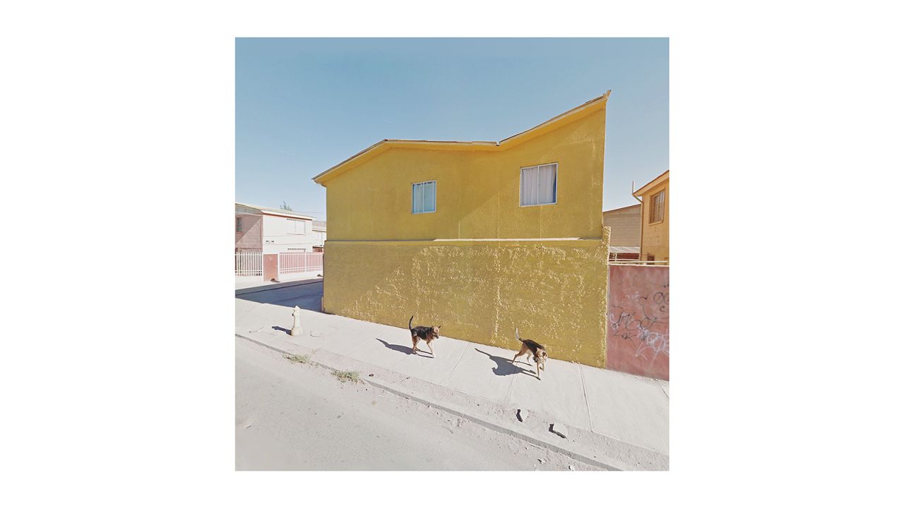 <strong>Thousands of images:</strong> Kenny took this screenshot of dogs in Copiapo, Atacama Region, Chile. She has amassed a collection of some 40,000 images. "I'm not sure where all of these findings are going to take me, but I don't feel like I have finished my Street View journey just yet," she says.