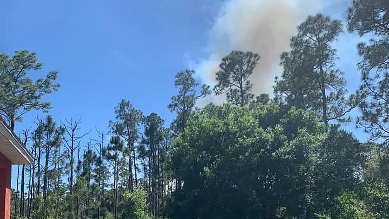 Gender reveal party ignites a 10acre brush fire in Florida, officials