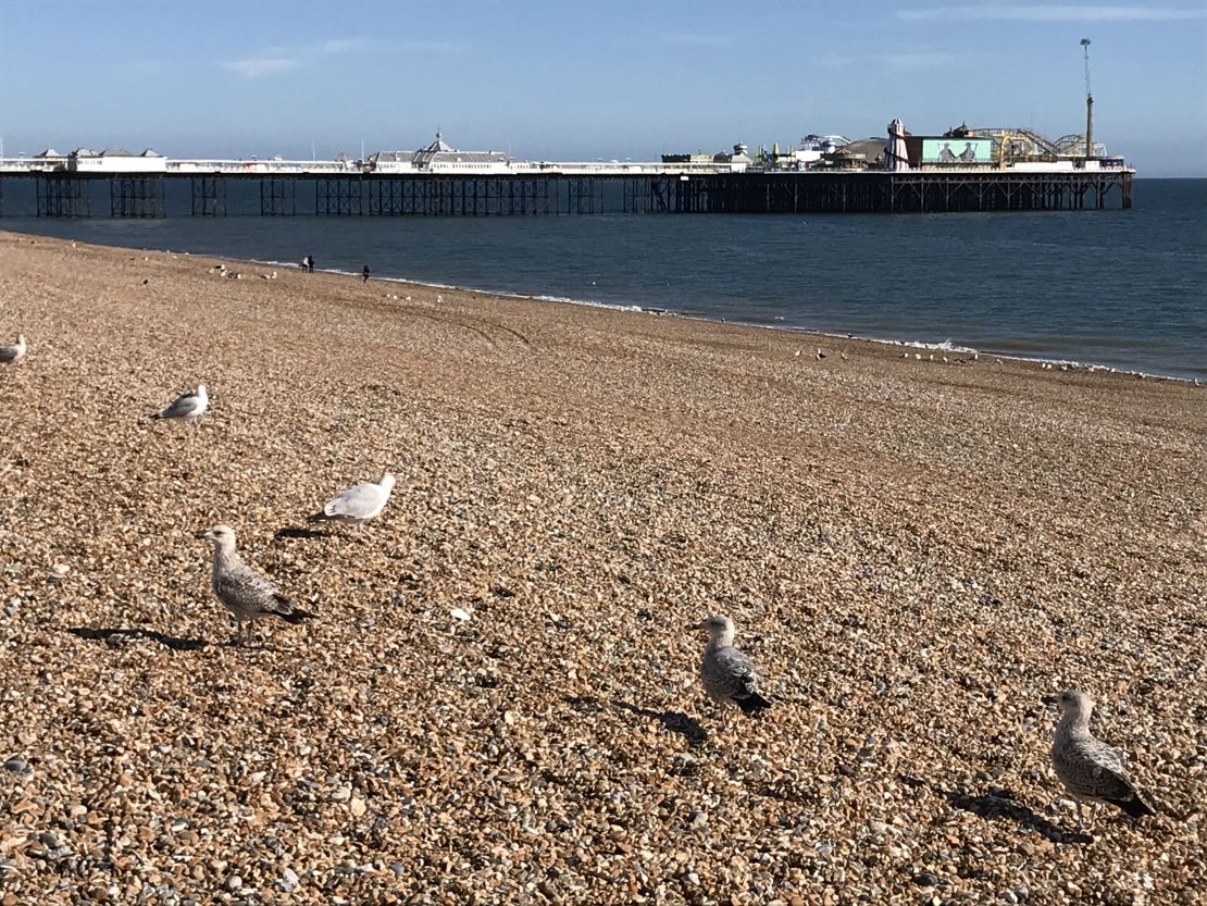 Brighton beach was largely deserted on Saturday following instructions from local officials to stay away from the southern English resort.