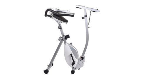 Laptop Workout Desk and Recumbent Bike