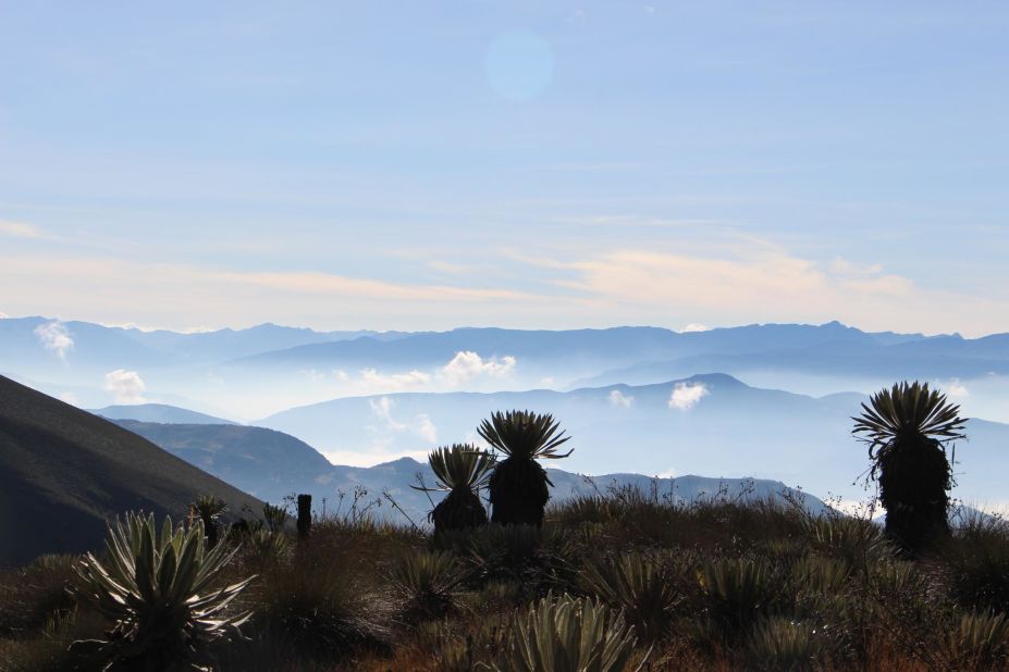 Paramo de la Rusia, Boyaca, photographed 2019. In the distance are the mountains of the Cordillera Oriental, which contain paramos still to be explored, says Diazgranados.