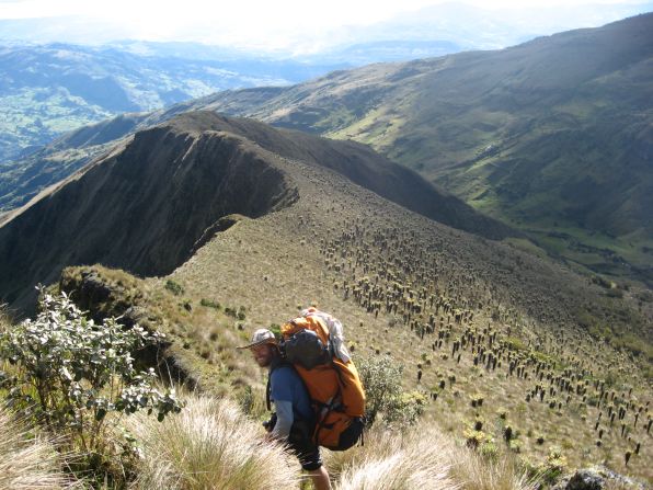 Diazgranados hiking in Pisba National Park, Boyaca in 2009 on an expedition to collect frailejones.