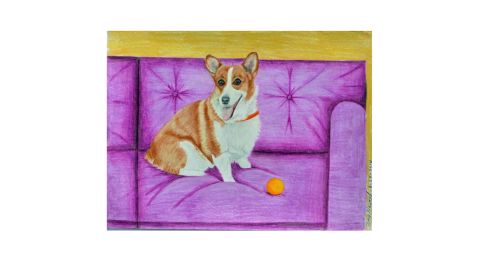 "Corgi on a Purple Couch" by Amy Husted