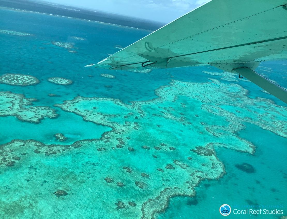 The bleaching event in 2020 was the most widespread on the Great Barrier Reef ever recorded. 