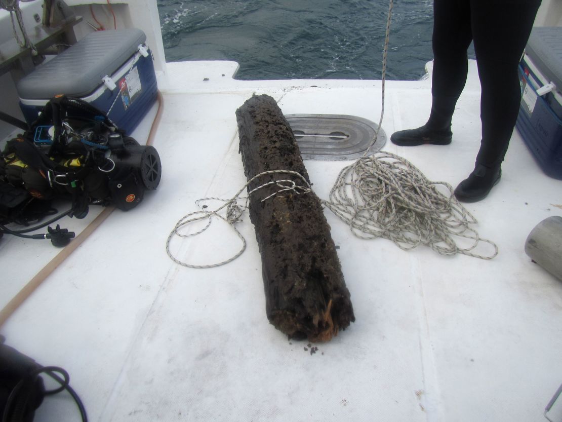 A piece of wood that was taken from the ancient underwater forest. 