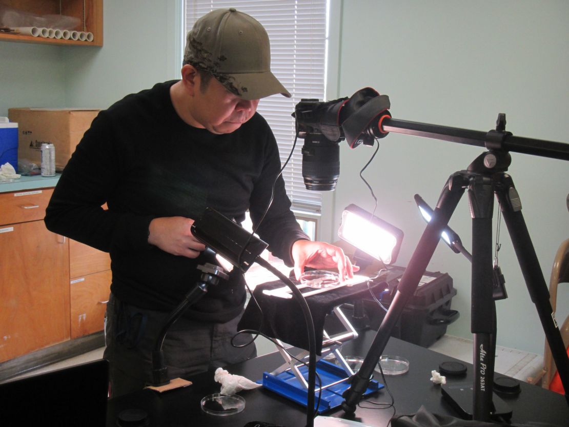 Researcher Marvin Altamia taking pictures of organisms collected from the submerged forest.    