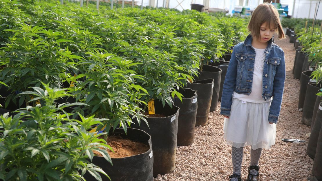 Charlotte Figi walks near medical marijuana known as Charlotte's Web in 2014.