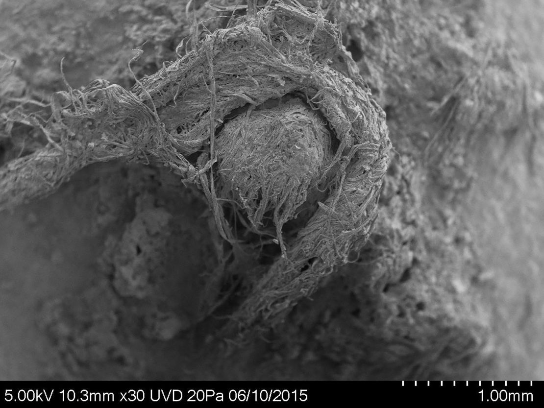 Photo of Neanderthal cord from Abri du Maras.
