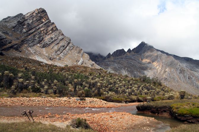 Rio Ratoncito, Valle de los Cojines, Cocuy National Park, photographed by Diazgranados in 2008 as part of a 10-day expedition to collect frailejones.