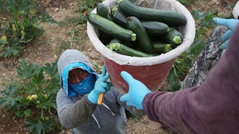 Some farmworkers have started wearing masks and gloves to protect against the coronavirus.