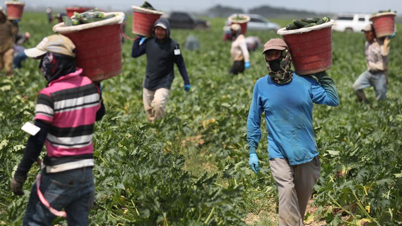 Farmworkers are facing their own coronavirus crisis | CNN