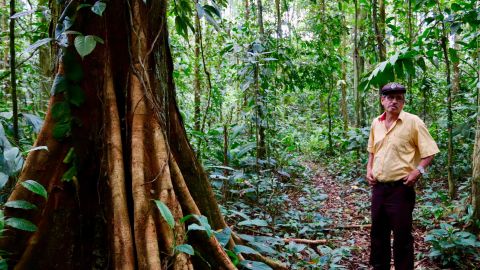 Elicinio Flores walks through his patch of rainforest daily, proud of what he has  preserved.