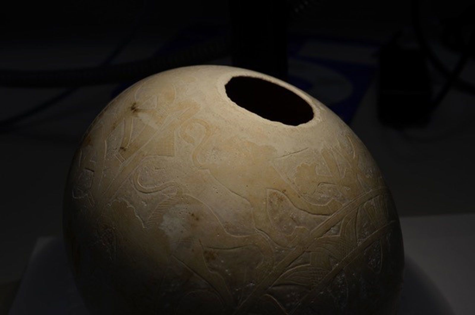 Mystery over ancient ornate ostrich eggs may finally be cracked