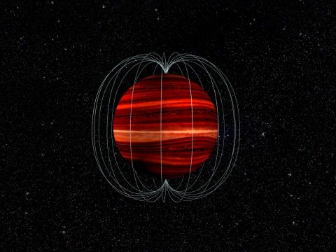 This is an artist's illustration of a brown dwarf, or a "failed star" object, and its magnetic field. The brown dwarf's atmosphere and magnetic field rotate at different speeds, which allowed astronomers to determine wind speed on the object. 