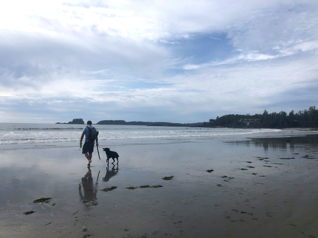 <strong>Tofino Beach:</strong> Bagel is most alert in the afternoon, especially when water sports are involved. 