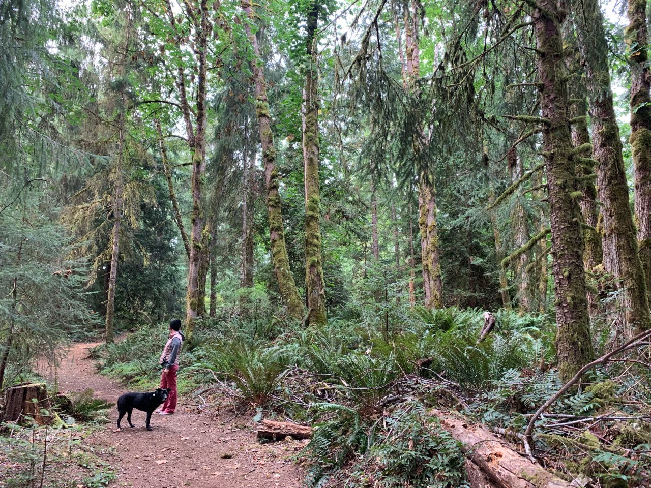 Horne Lake park in Vancouver Island provided a break from all the water activities.