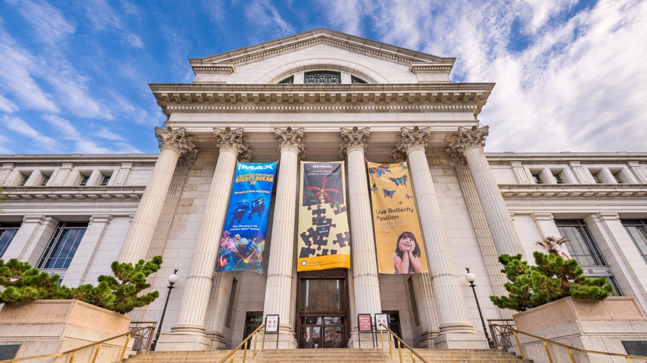 Tour museums, aquariums and more right from home.