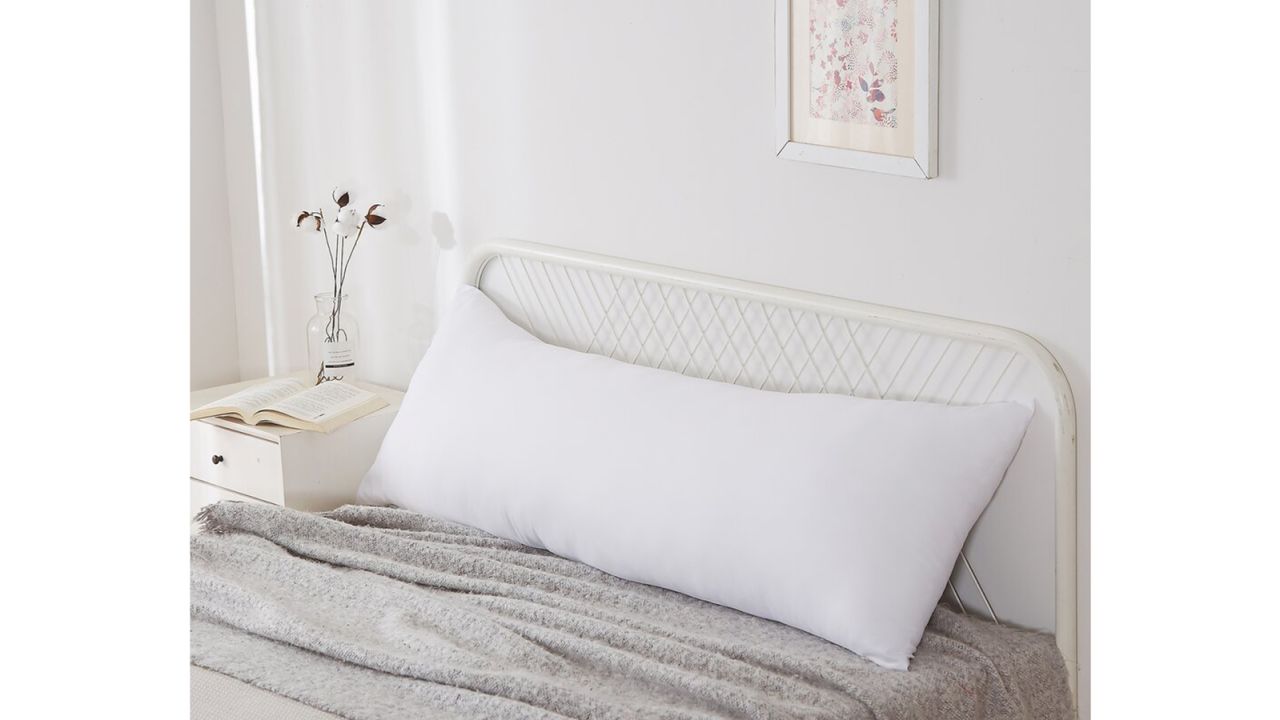 Jill Soft Hypoallergenic Medium Polyester Body Pillow