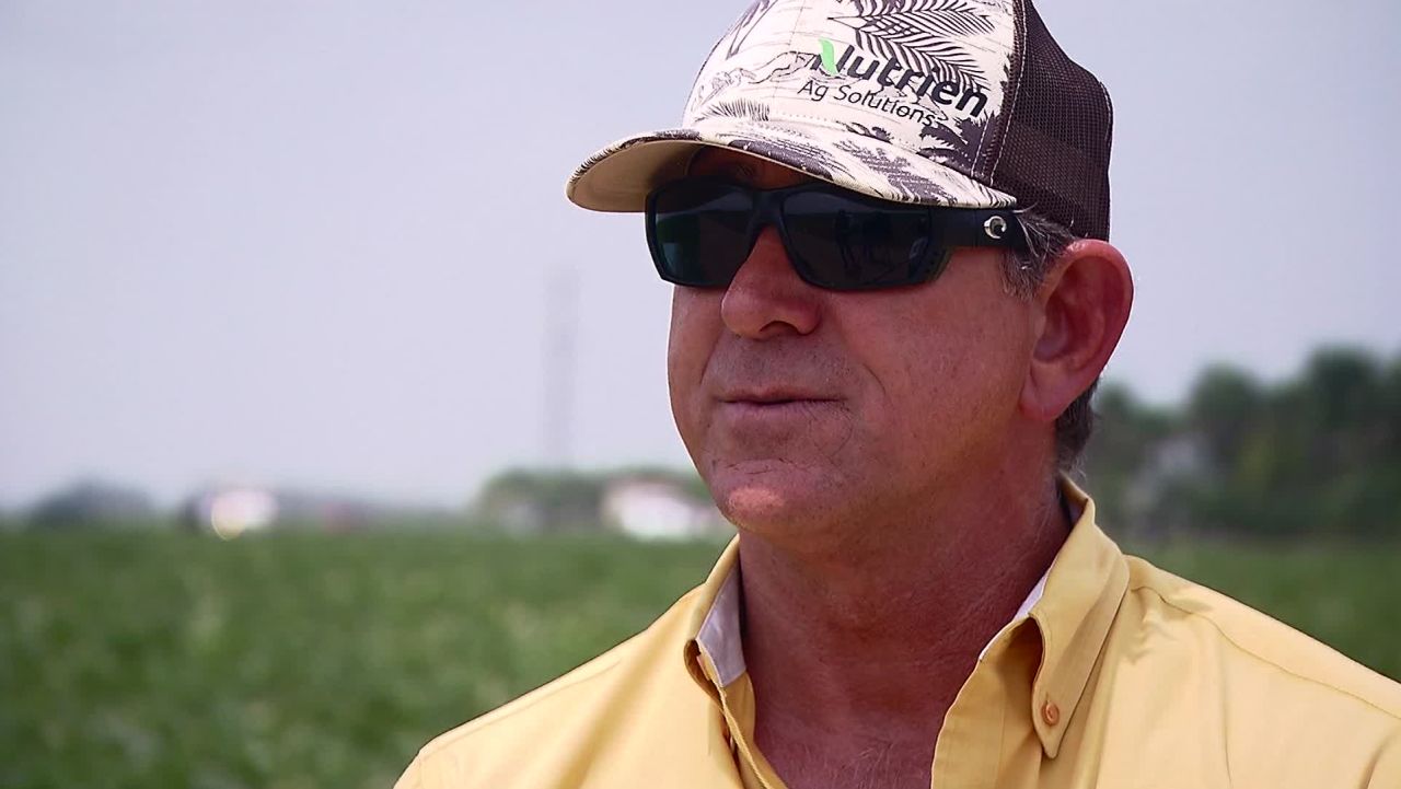 Florida squash farmer Sam Accursio