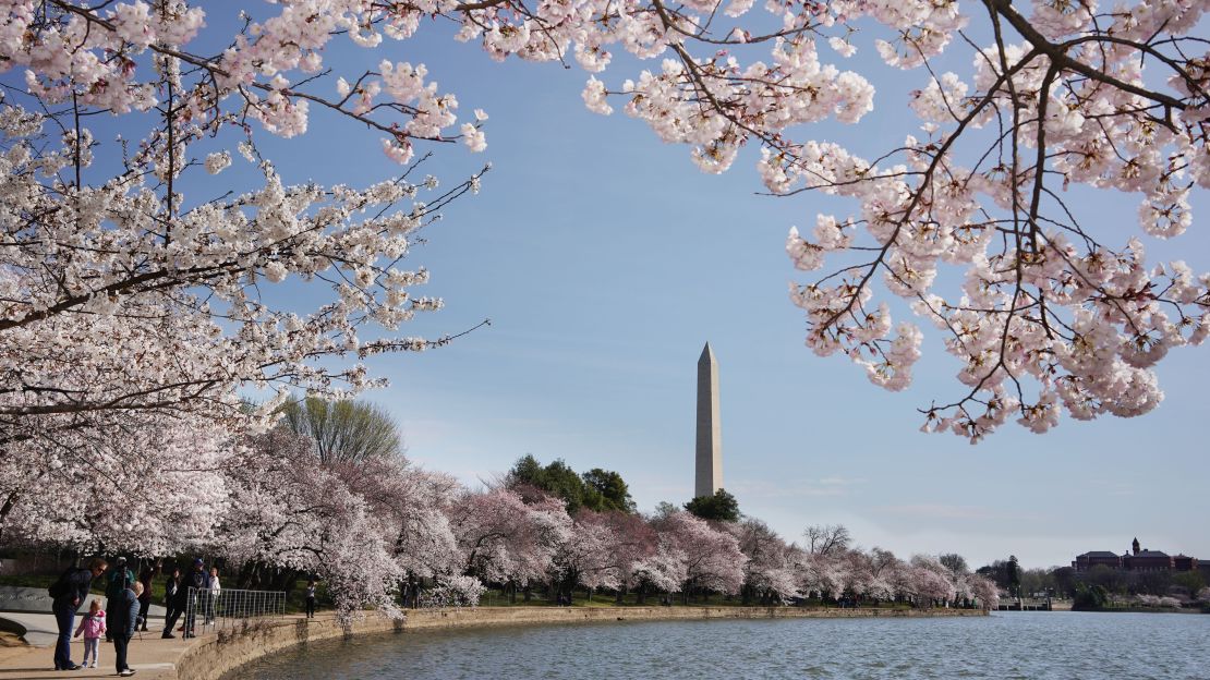 The tidal basin is one of Washington's lovliest strolls