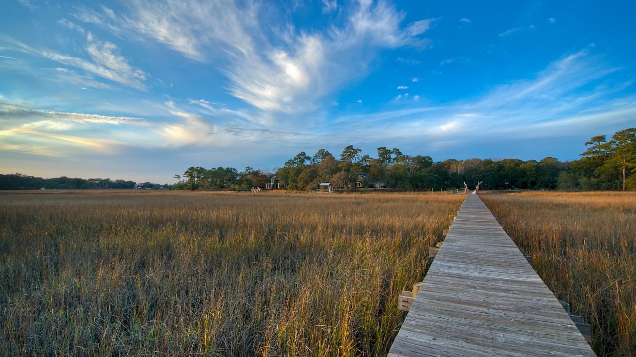 The marshes of Low Country in South Carolina stretch for miles