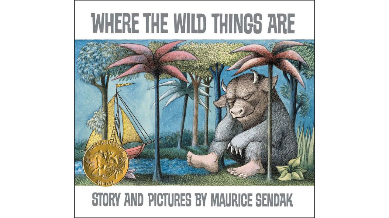 "Where the Wild Things Are" by Maurice Sendak: Sendak doesn't only describe the dreamlike journey the main character, Max, takes and the land of the Wild Things. He explains why Max is upset with his mother, why he leaves for the land of the Wild Things and what urges his ultimate return home. 