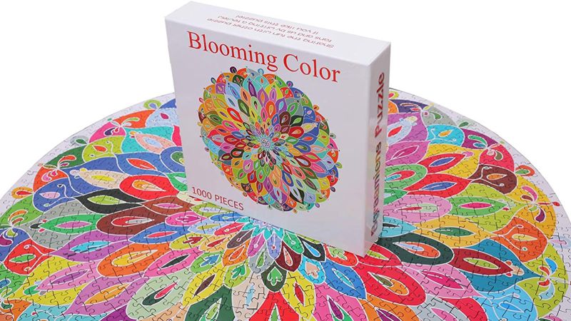 Bgraamiens Puzzle-Blooming Color-1000 Pieces Gradient Puzzle Color Challenge 