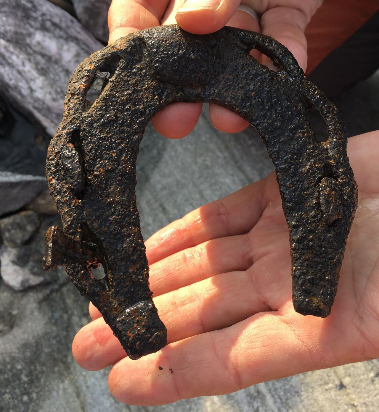 This horseshoe was recovered along the pass, including a small part of the hoof star still attached to the other side. The shape is similar to those made between the 11th and 13th century AD. 