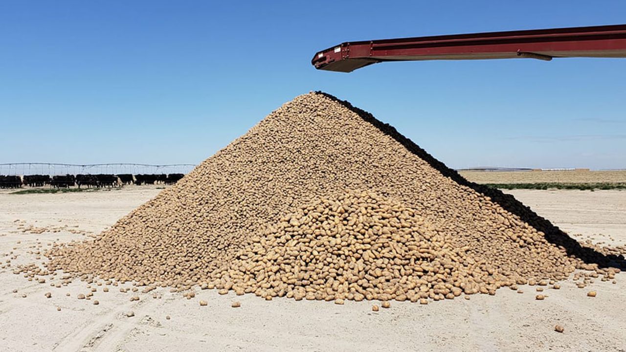Cranney Farms in Idaho is giving about about 2 million potatoes so they don't go to waste.