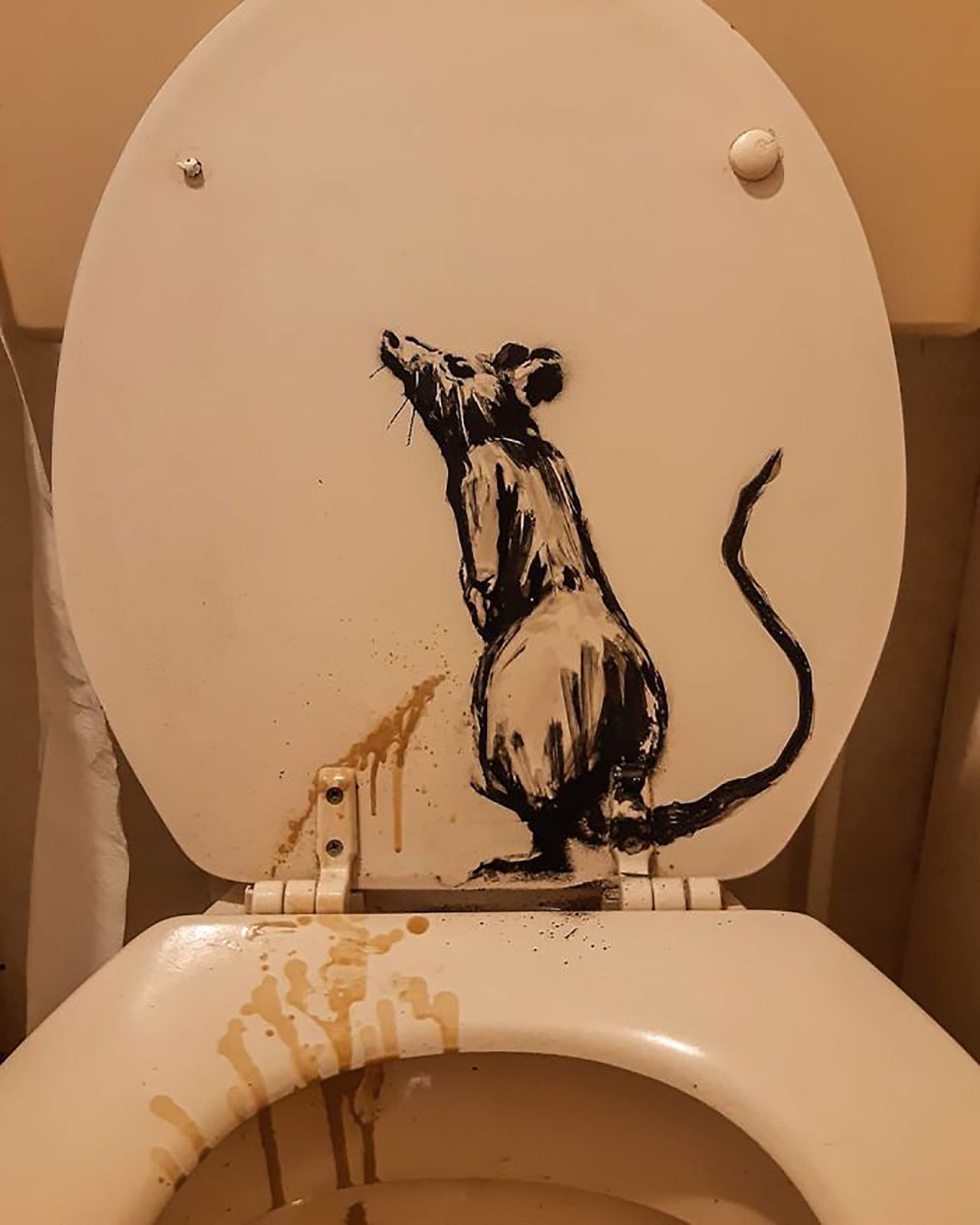 One rat is making full use of the bathroom facilities.