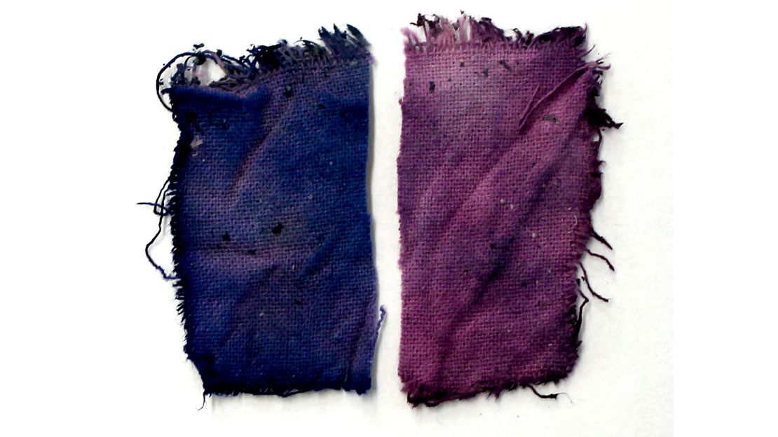 Watercolors of folium preserved on fabric squares.