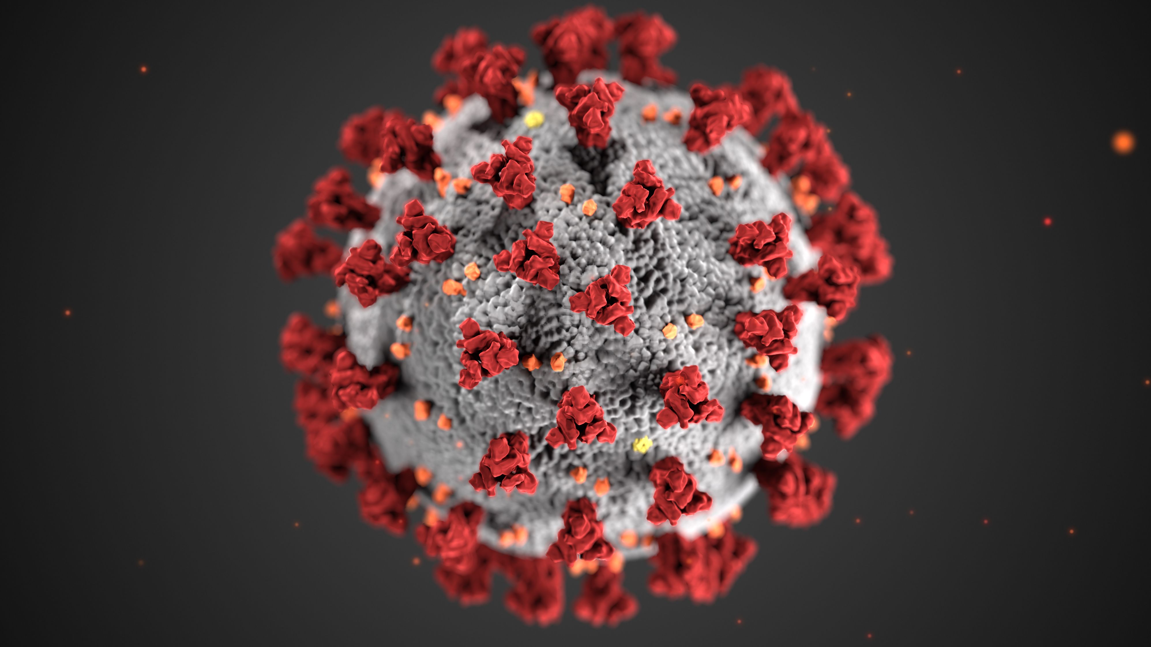 The CDC's illustration of the novel coronavirus that causes Covid-19. The red spikes represent the proteins that allow the virus to attach itself to human cells.