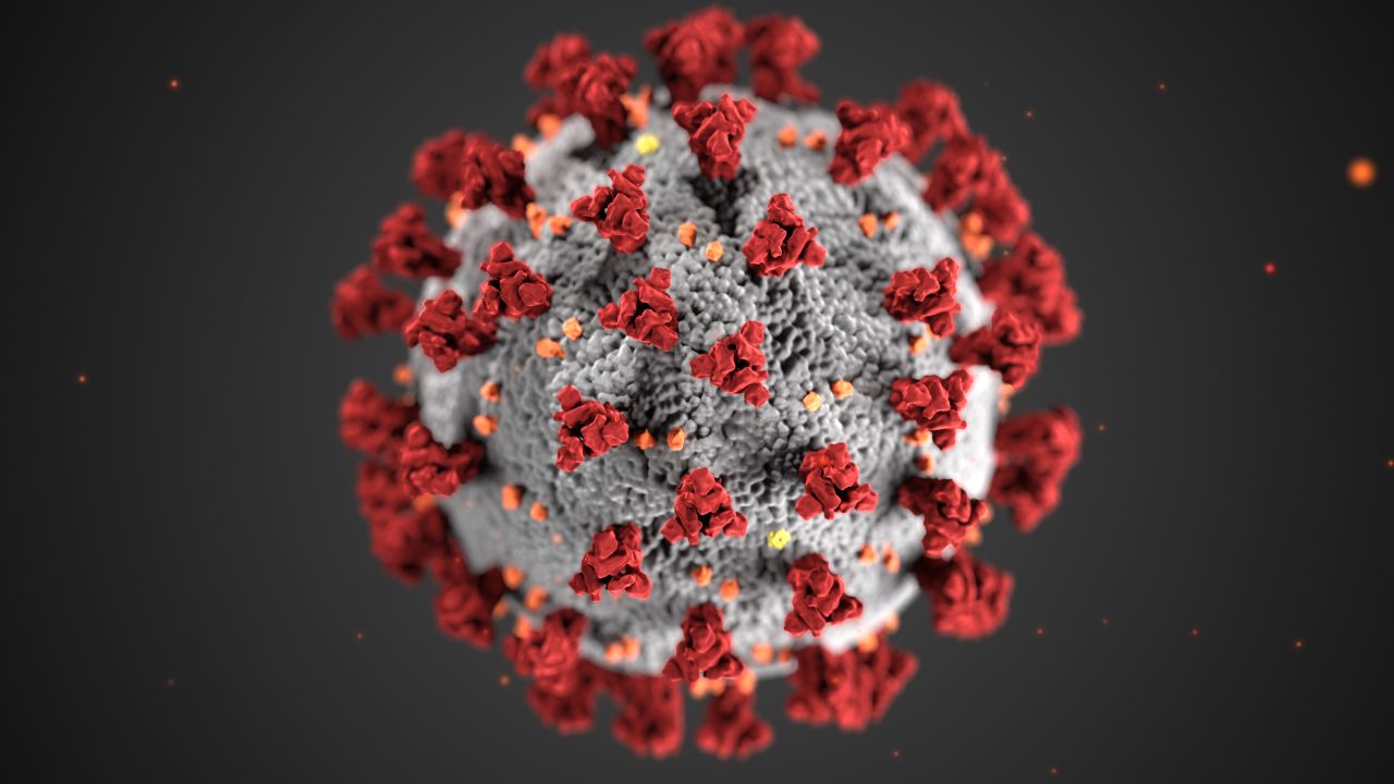This illustration, created at the Centers for Disease Control and Prevention (CDC), reveals ultrastructural morphology exhibited by coronaviruses. Groups of scientists around the world are using wastewater testing as a non-invasive way to measure the prevalence of coronavirus in their communities.