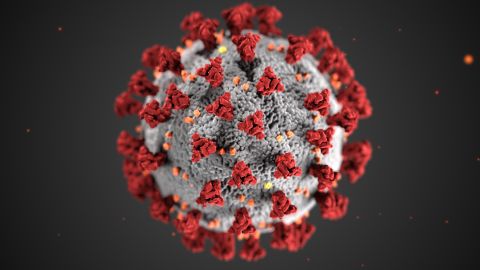 This illustration, created at the CDC, shows the spikes that adorn the outer surface of the virus.
