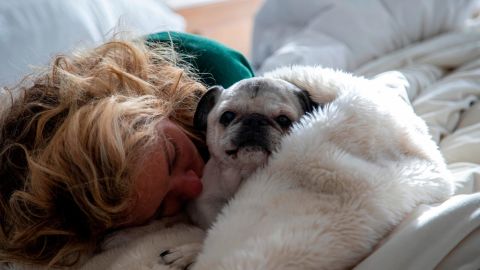 Laid very low by the coronavirus, Baldwin naps with her dog Pugsley.