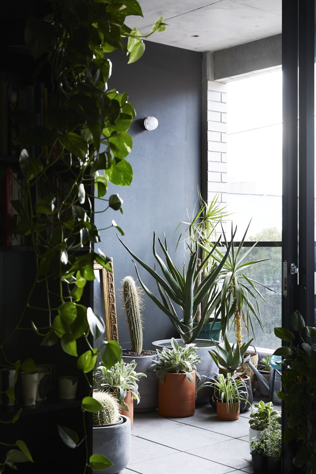 Plants can help freshen up indoor living spaces.
