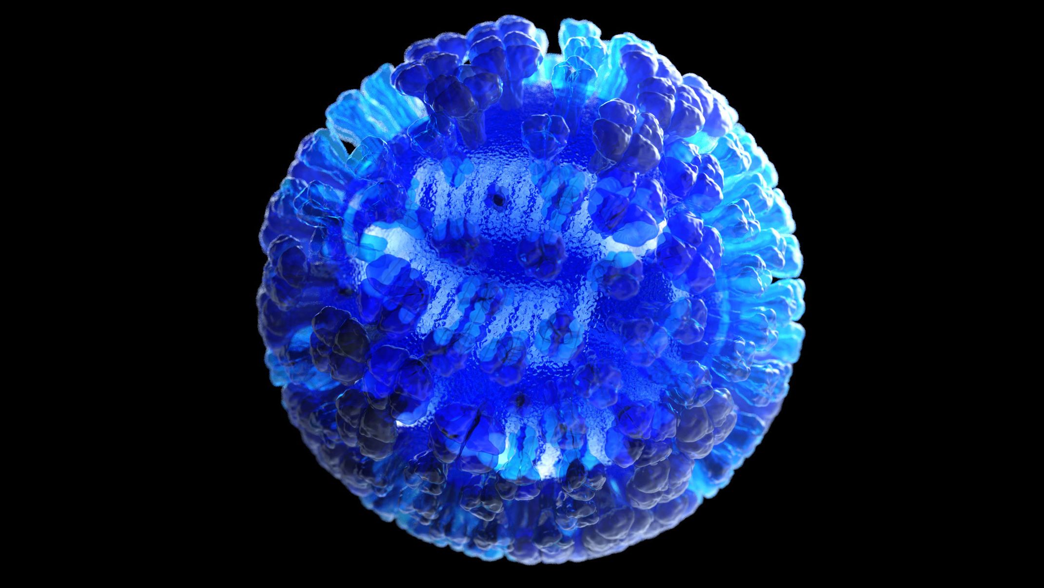 Dan Higgins created this CDC illustration that depicts a 3D computer-generated rendering of a whole influenza virus.
